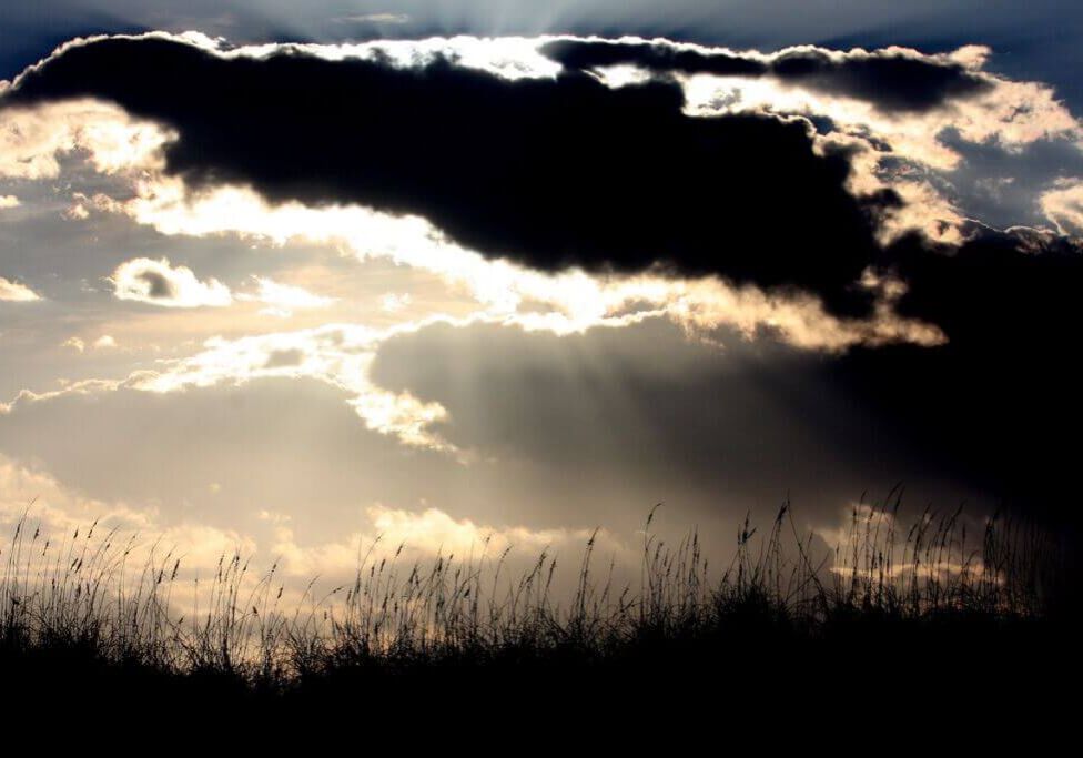 sky and field